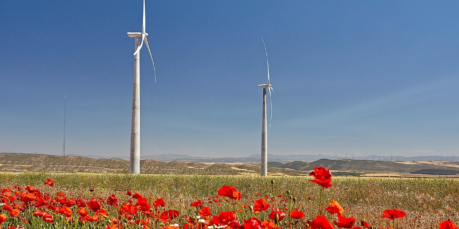 Image of windmills